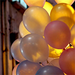 TSNed - Scherm­afbeelding-2024-11-13-om-11